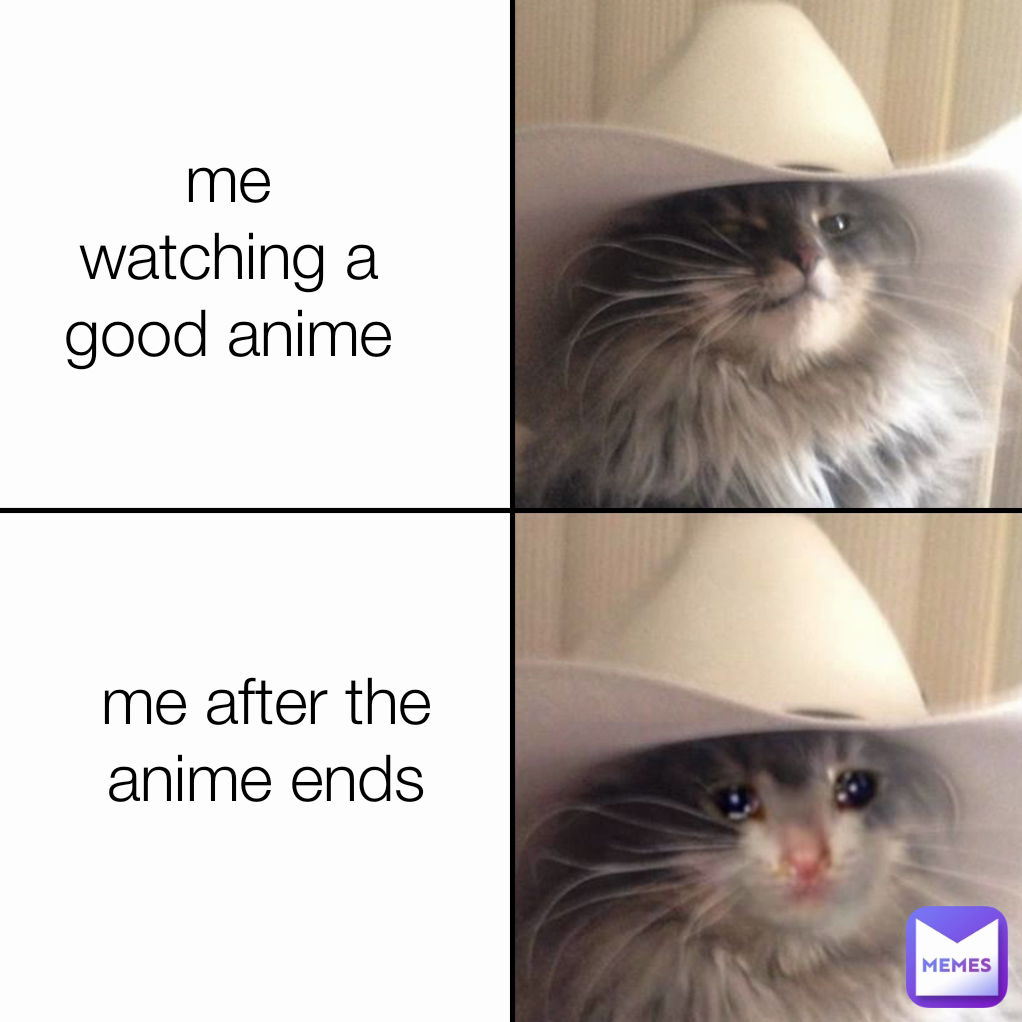 me watching a good anime me after the anime ends