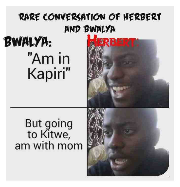 Meme shared by @mtongapeter3