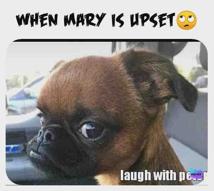 Meme shared by @mtongapeter3
