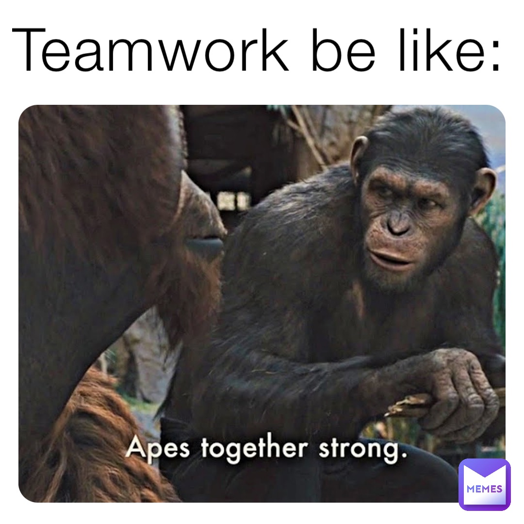Teamwork be like: