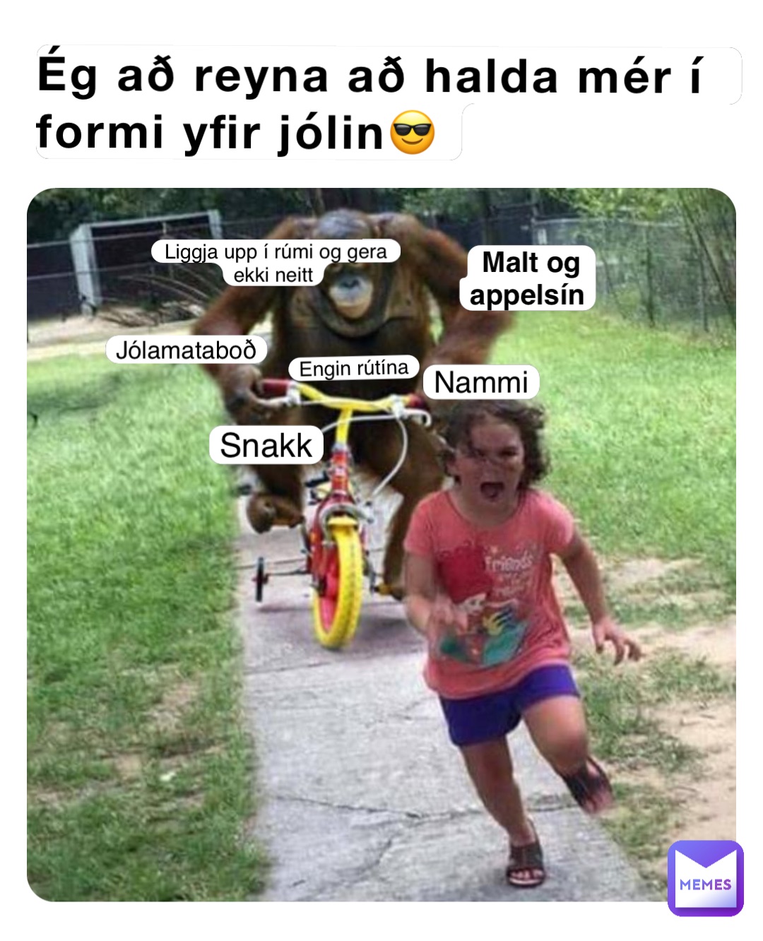 Meme by the_Lord_mjes