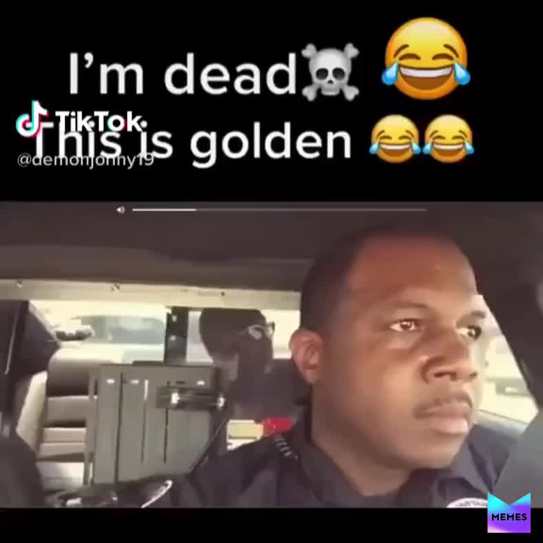 I’m dead follow @memepotato11 for more  #memesdaily  #meme  #memestagram  #hehe  #imdead  #golden  #wife  #away  #escape  #followformore  #likeformorememes  #haveagoodday  #toofunny  #purememes  #wtfmemes  #dankmemes  #okay  #followforfollowback  #share  #comment  #hahahahahahahahahahahahahahahahahahahahahahahahahahahahahahahahahahahaha #tiktoker #tiktok #tiktokmeme