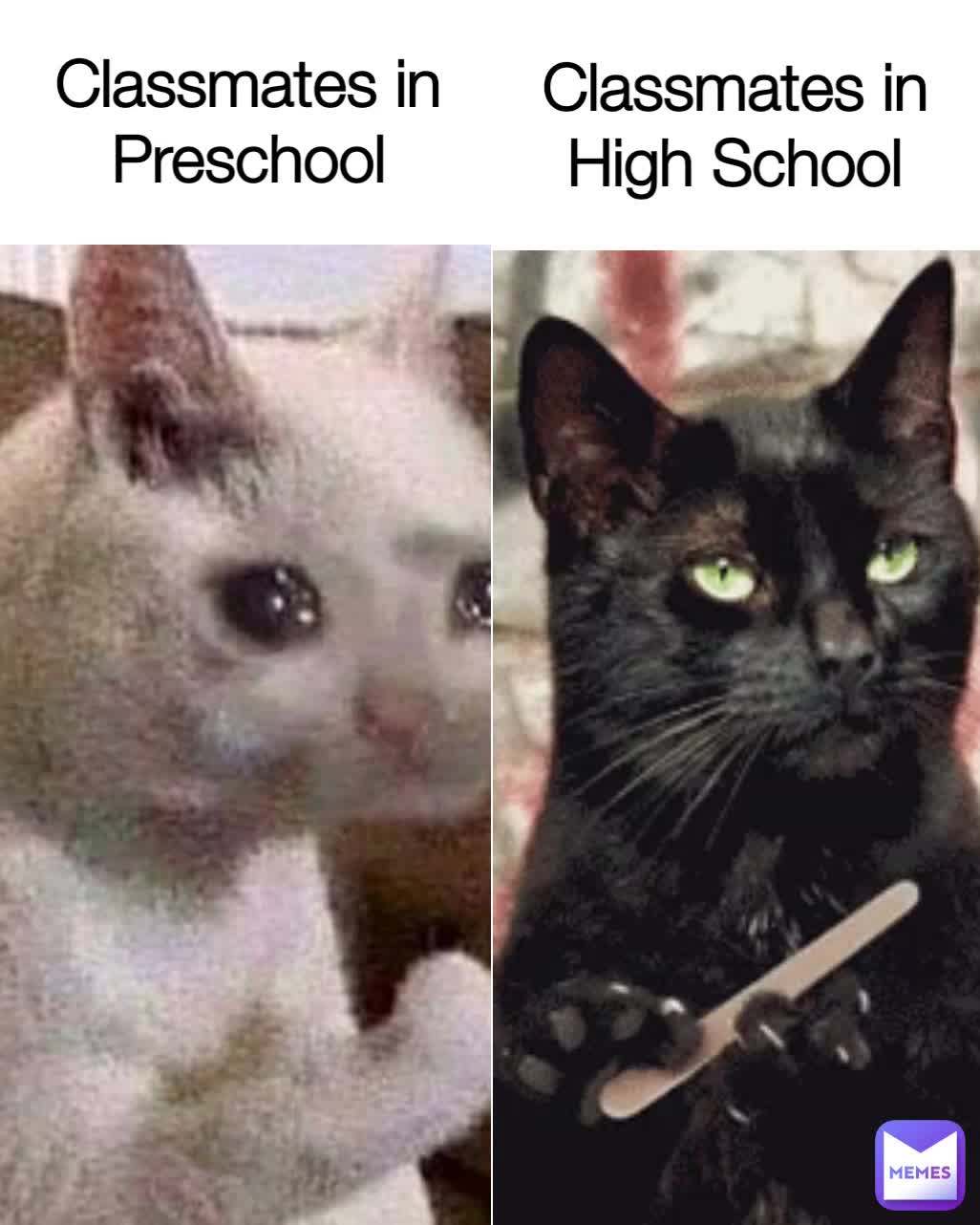 Classmates in Preschool Classmates in High School | @MemePaladin | Memes