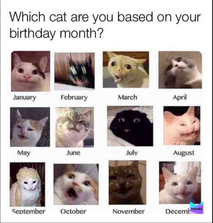 Meme shared by @meme_nuggett