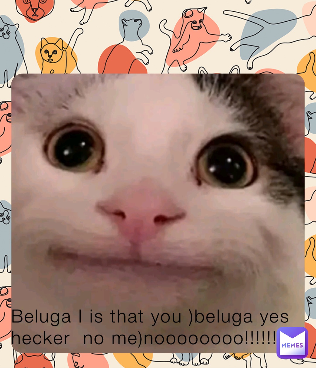 Beluga I is that you )beluga yes hecker  no me)noooooooo!!!!!!