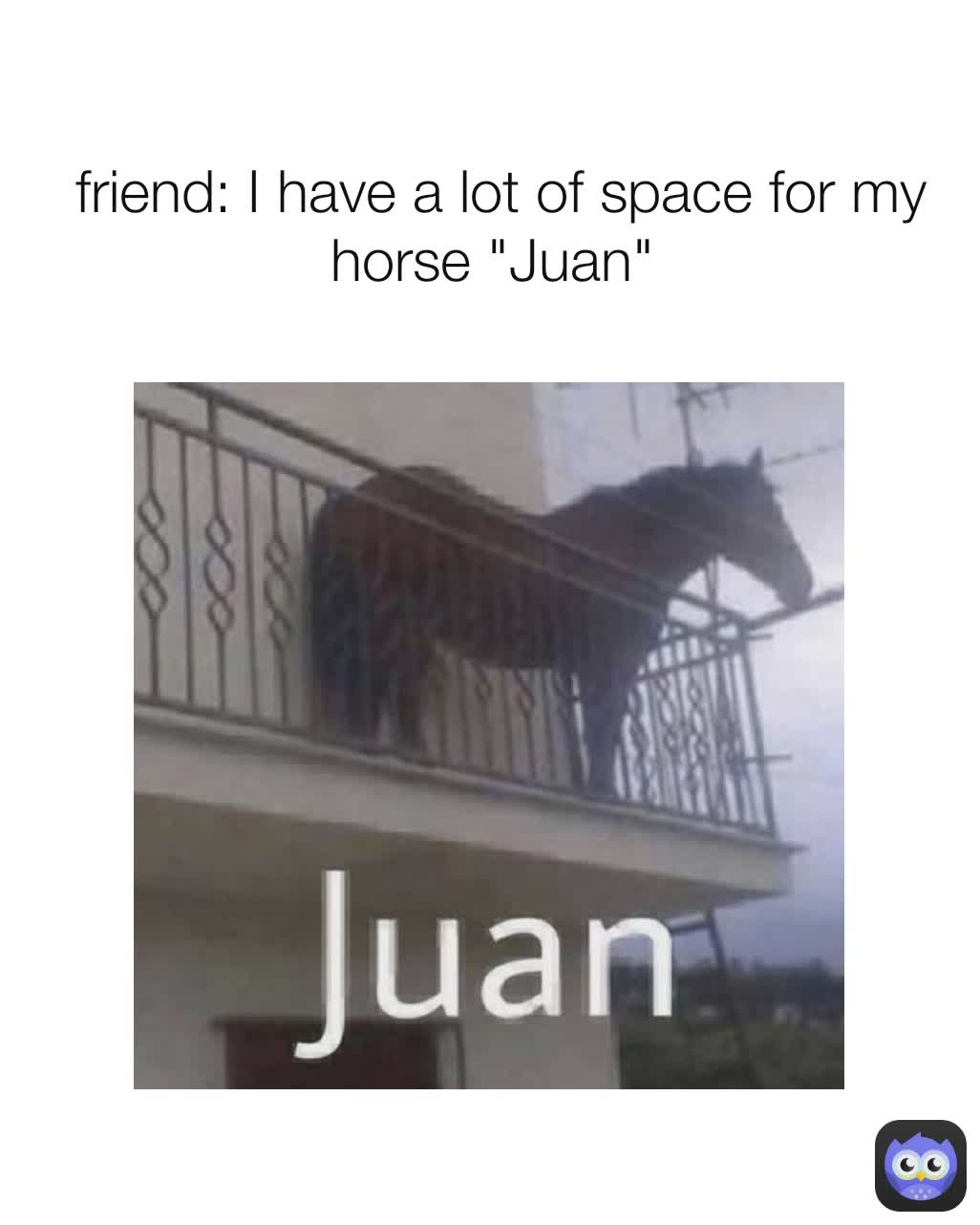 Juan Horse on Balcony Dank Meme