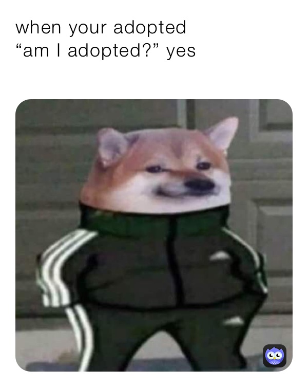 when your adopted
“am I adopted?” yes 
