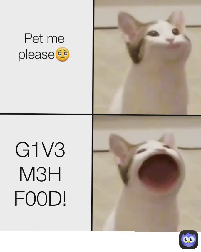 Pet me please! Pet me please🥺 G1V3 M3H F00D!