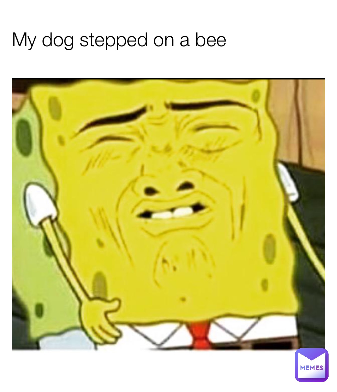 Spongebob Memes on X: My Dog stepped on a Bee