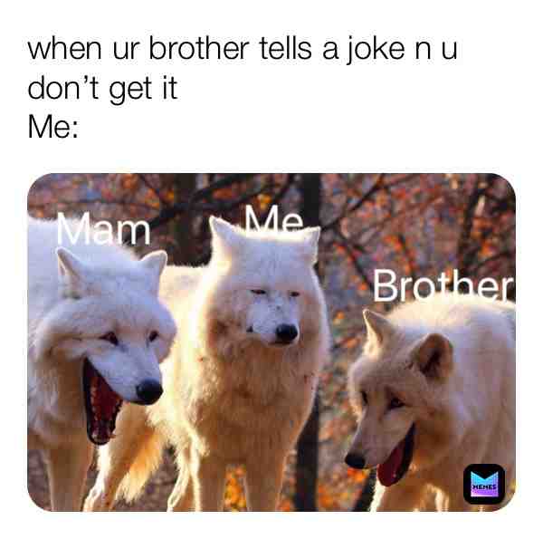​ #Funny  #Nope  #Huh