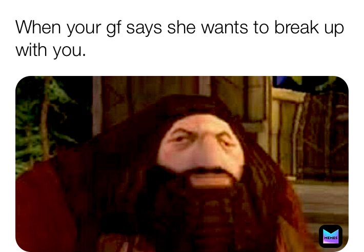 Meme by saiyanboy_yt1