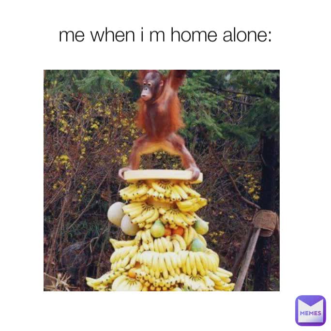 me when i m home alone: