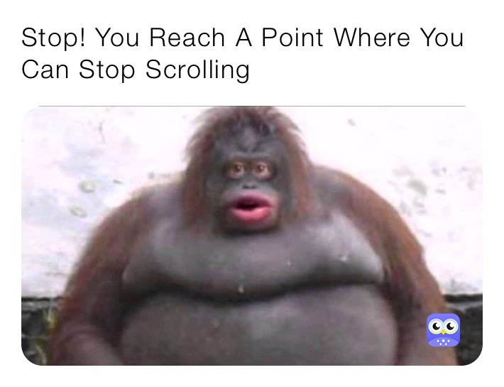 Stop! You Reach A Point Where You Can Stop Scrolling
