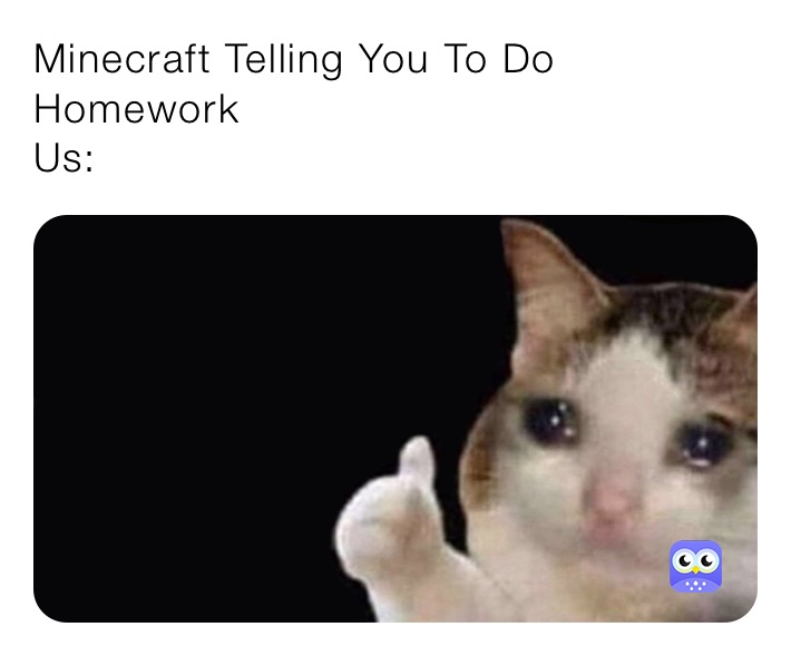 Minecraft Telling You To Do Homework
Us:
