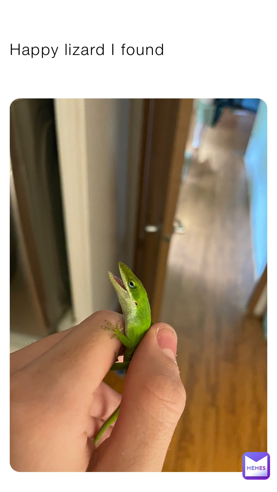 Meme by DollarTreeWorker16