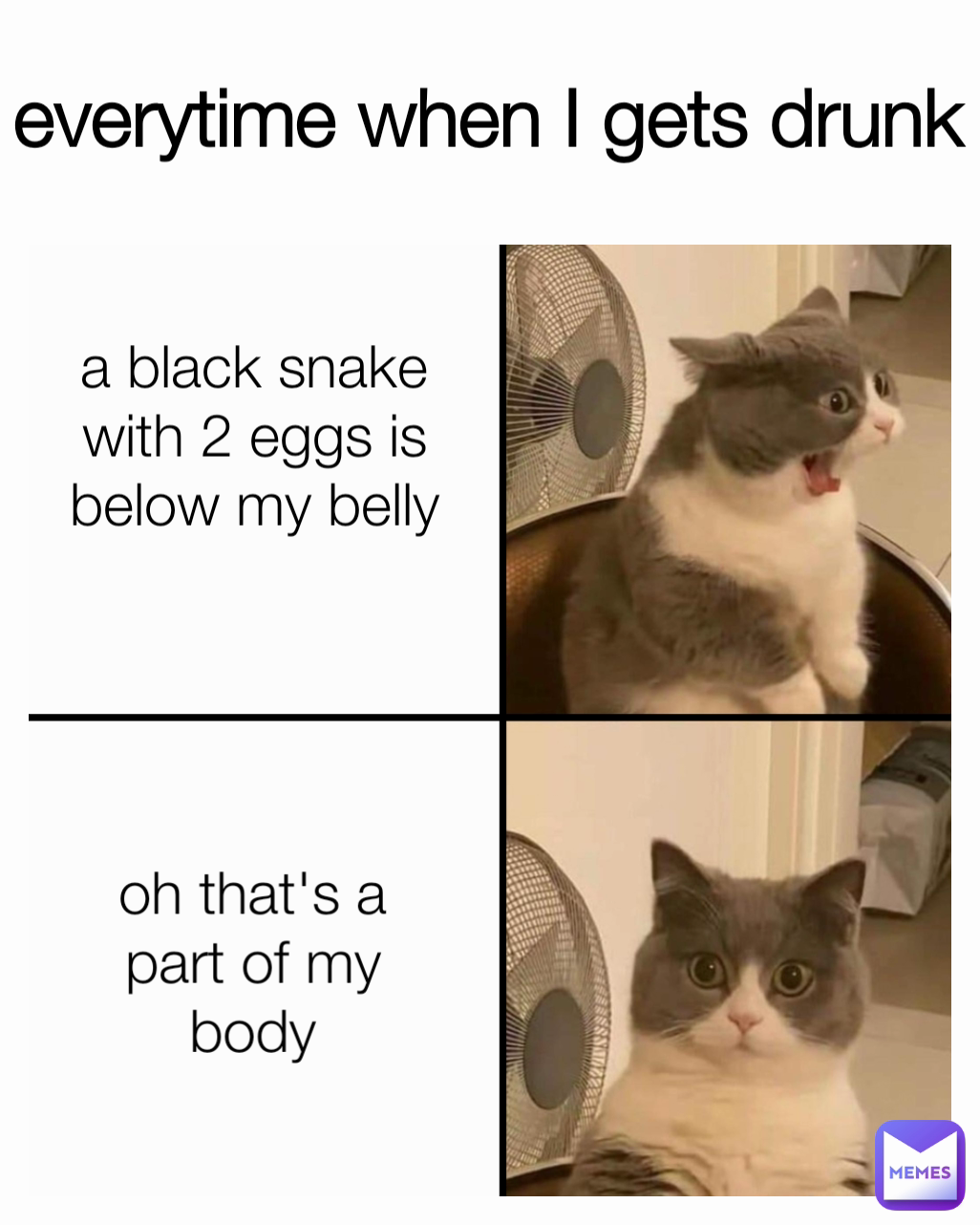 a black snake with 2 eggs is below my belly oh that's a part of my body everytime when I gets drunk
