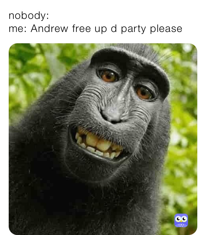 nobody:
me: Andrew free up d party please 