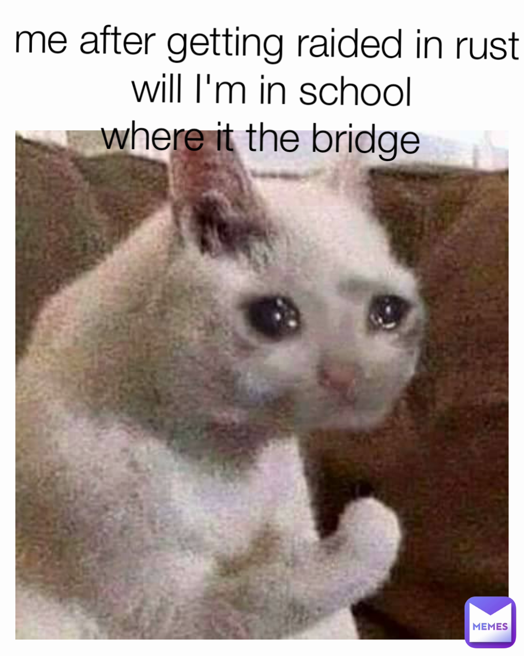 me after getting raided in rust
 will I'm in school
where it the bridge 
