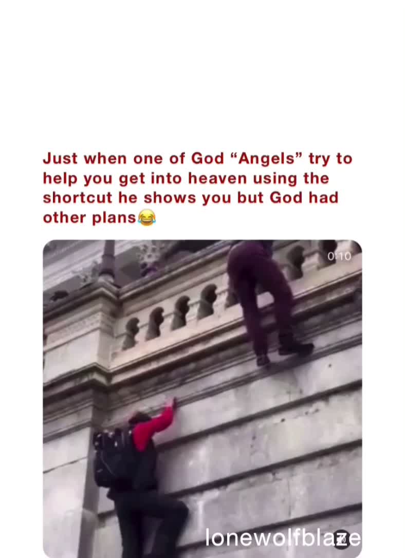 #wetheculturewethewave   #funny  #memes  # #saturday