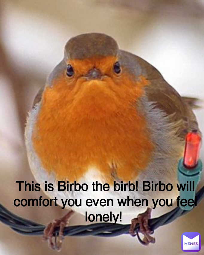 This is Birbo the birb! Birbo will comfort you even when you feel lonely! 