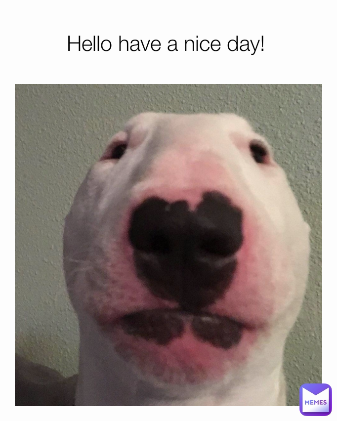 Hello have a nice day! 
