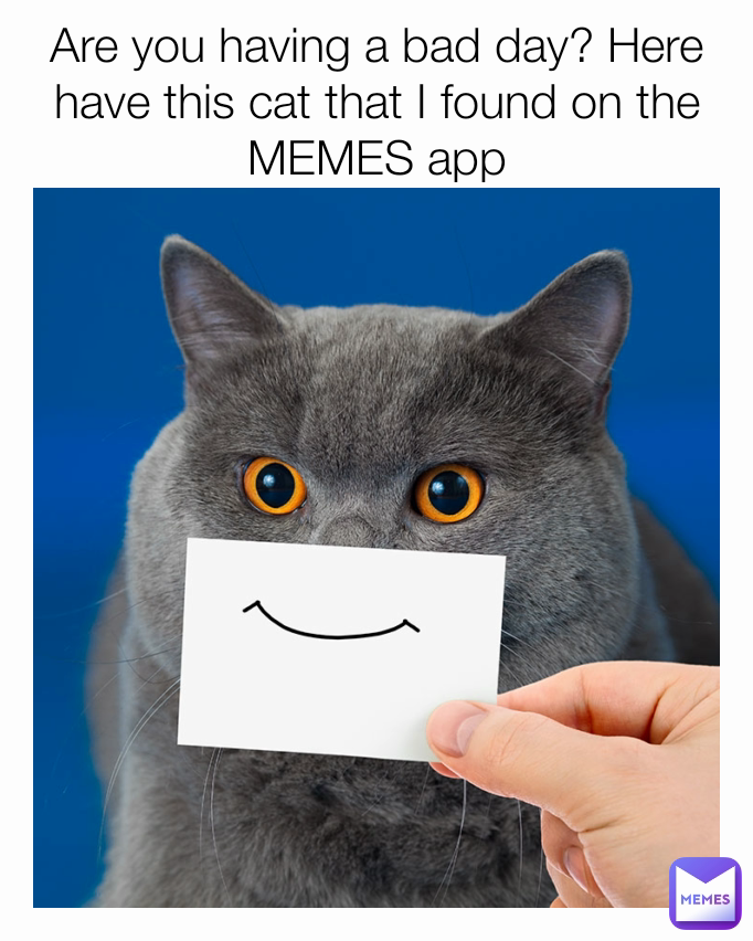 Are you having a bad day? Here have this cat that I found on the MEMES app