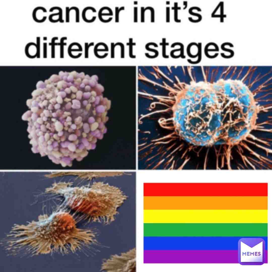 Meme shared by @TheFunnny3062