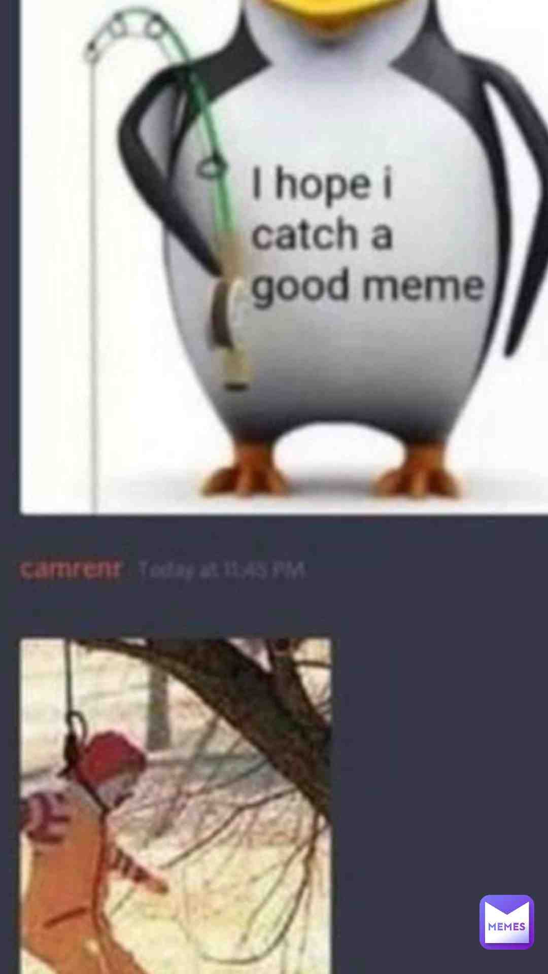 Meme shared by @TheFunnny3062