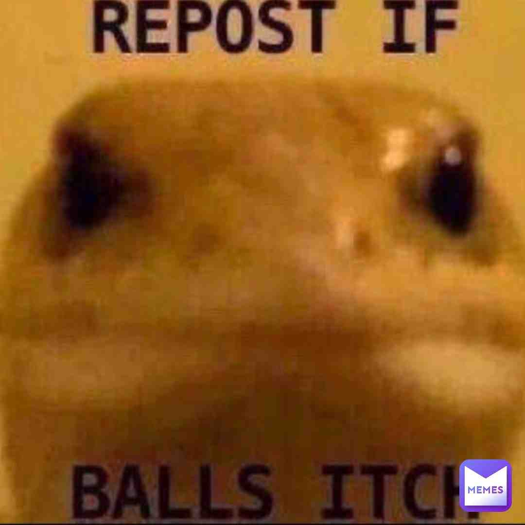 Meme shared by @TheFunnny3062