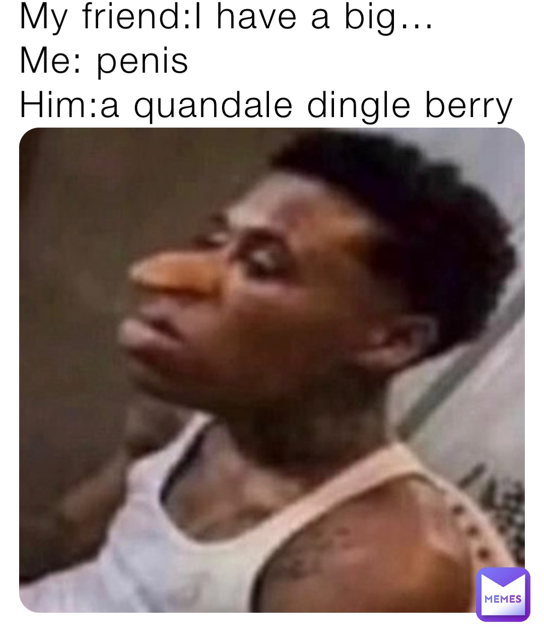 My friend:I have a big… Me: penis Him:a quandale dingle berry |  @pdoggofficial | Memes