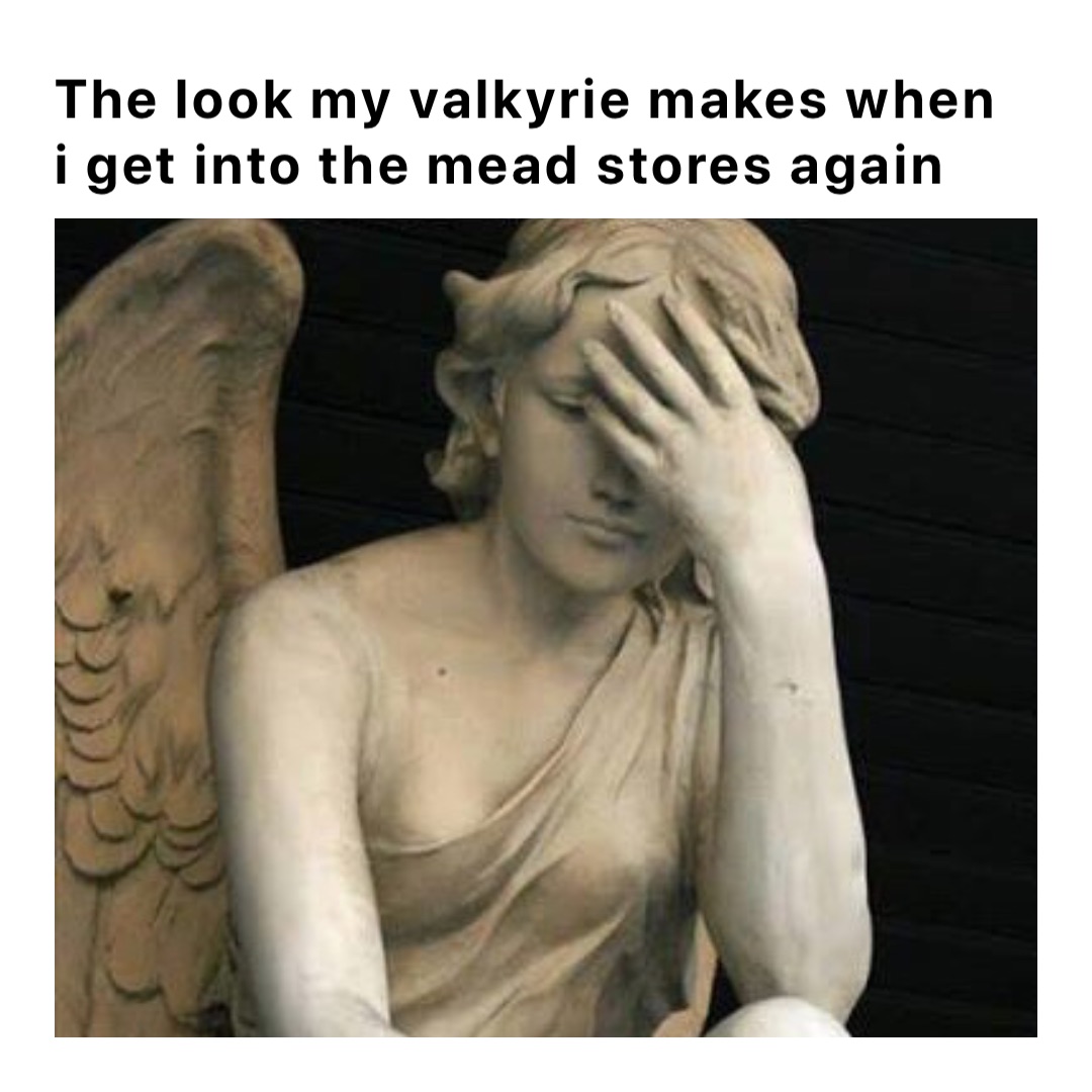 The look my Valkyrie makes when I get into the mead stores again