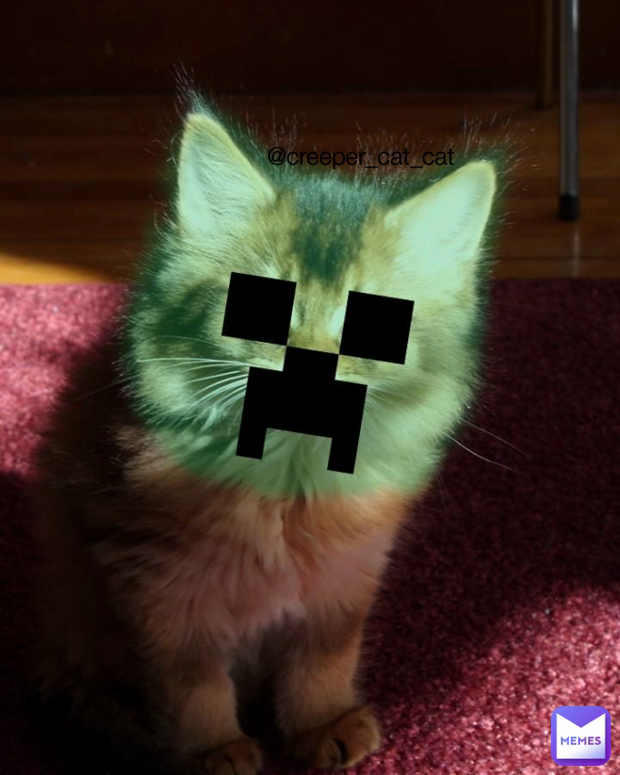 @creeper_cat_cat | @creeper_cat_channel | Memes