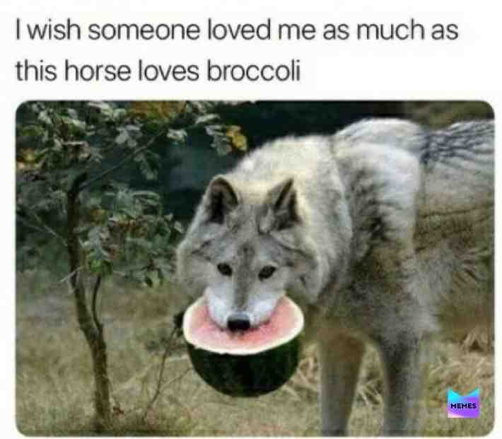 #horse #wolf #broccoli #watermelon