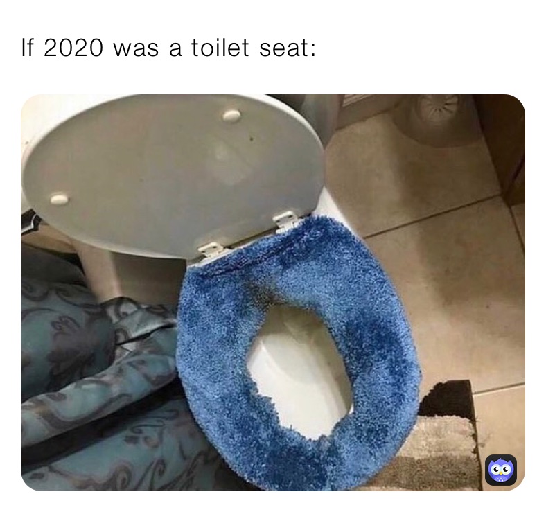 If 2020 was a toilet seat: 
