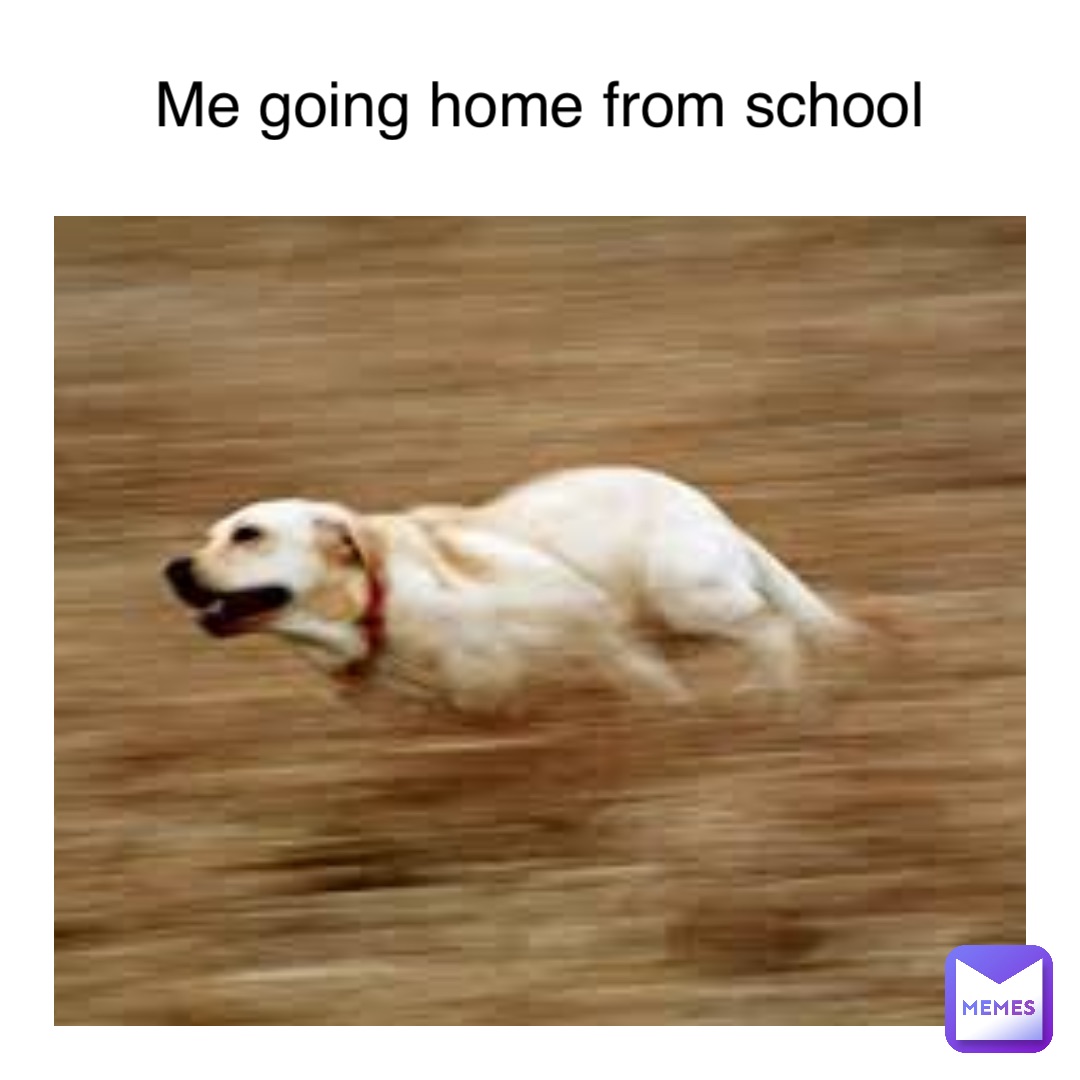 Meme by TheRandomMemer03