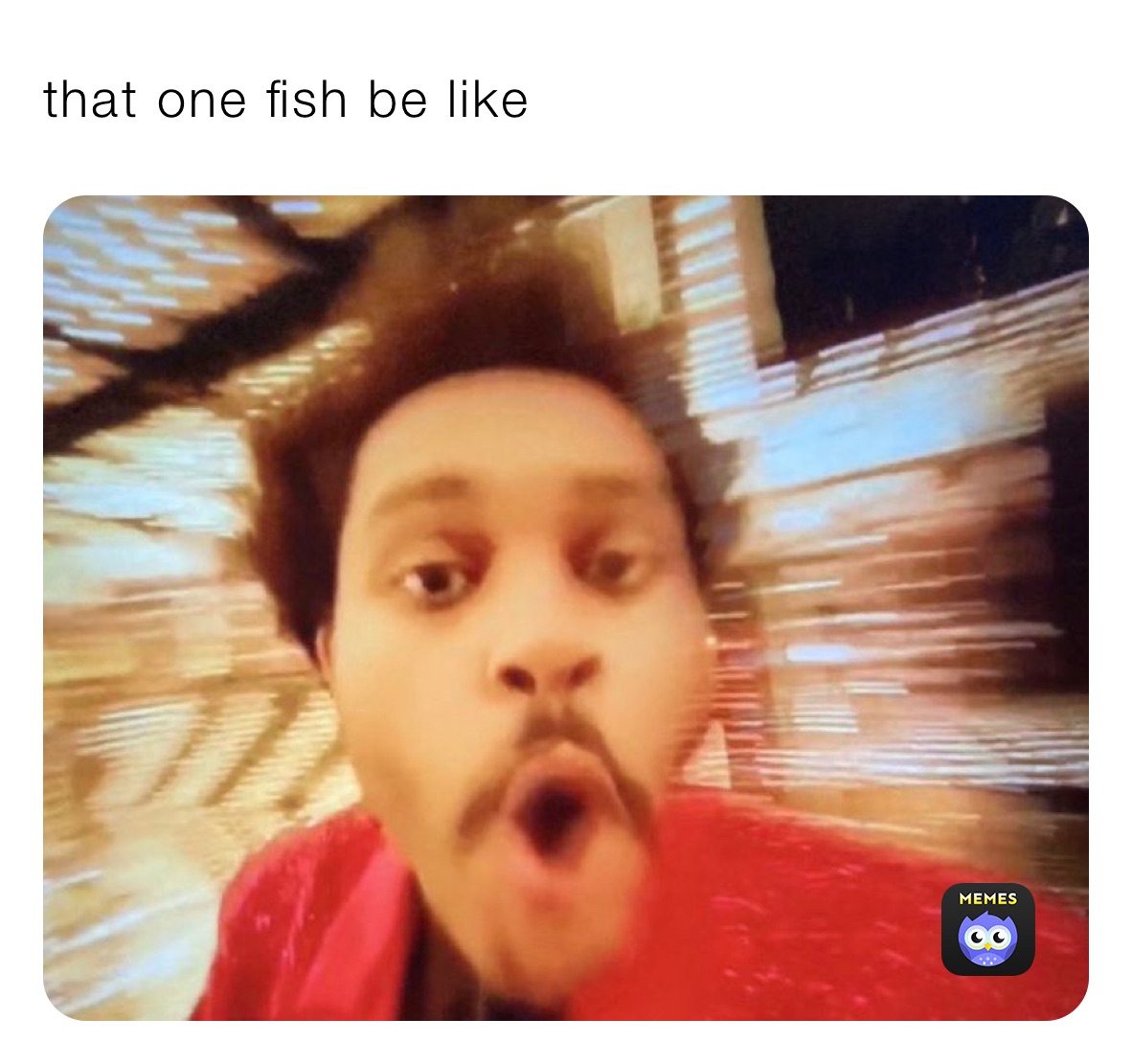 that one fish be like