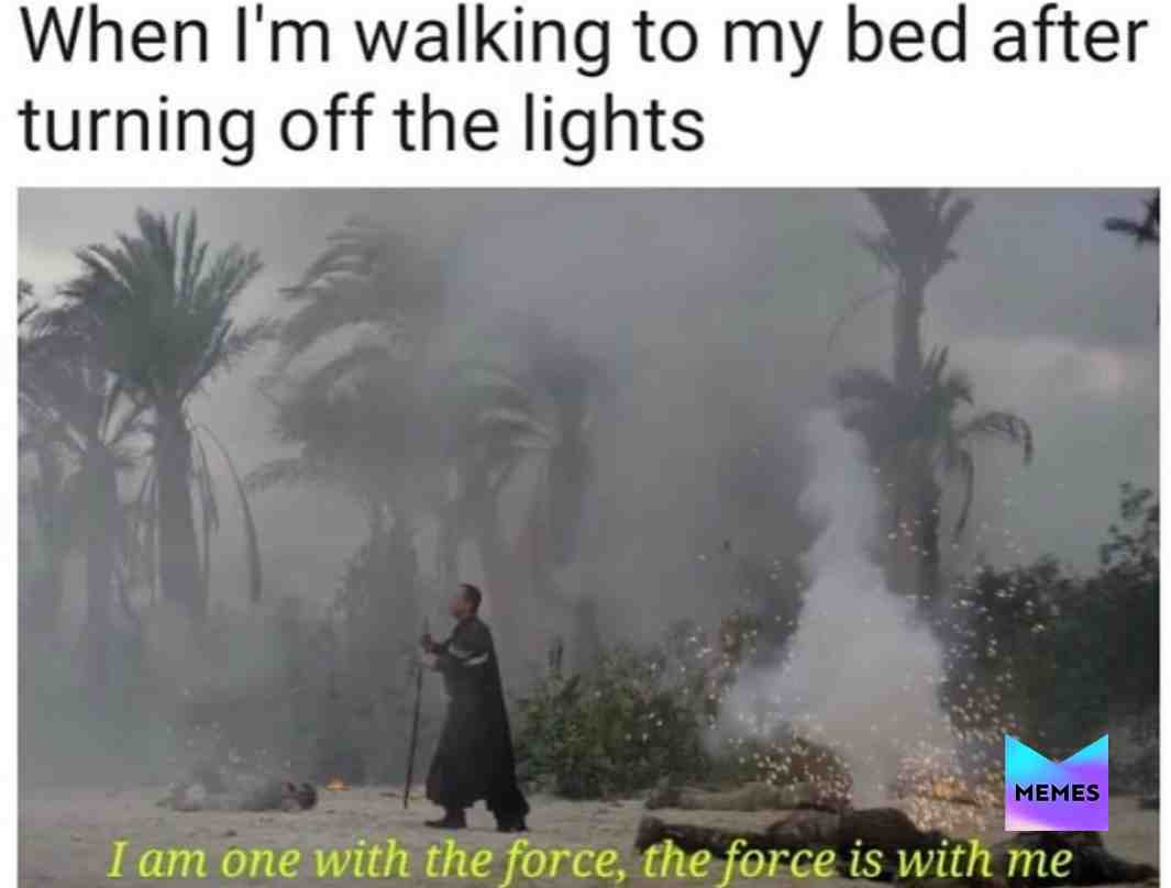 \u201c.....The Force Is With Me!\u201d
  #starwars   #disney   #meme   #memes   #funnymemes   #funny   #disney   #maytheforcebewithyou  #kraftpunkd