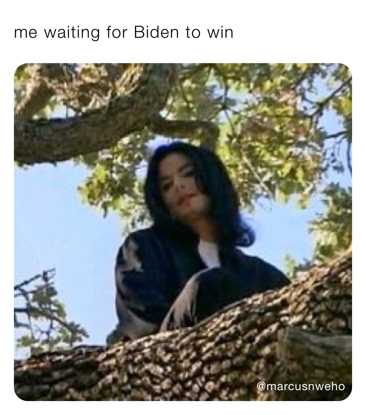 me waiting for Biden to win