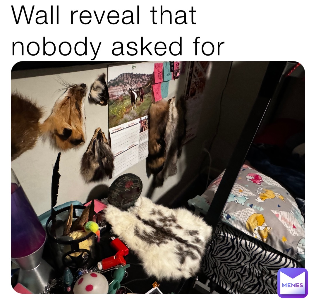 Wall reveal that nobody asked for