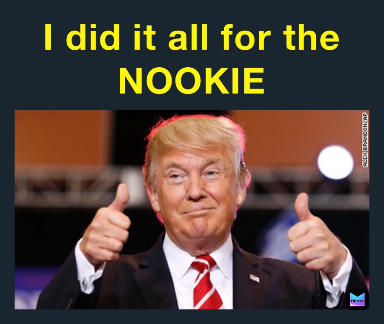 I did it all for the
NOOKIE