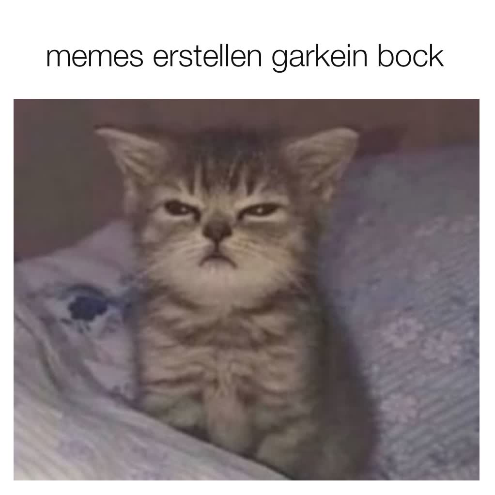 Meme by famegeile_memes