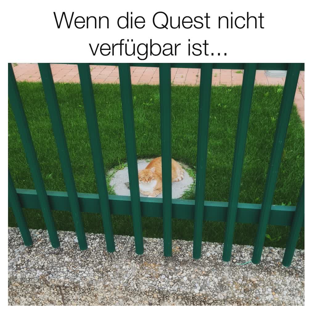 Meme by famegeile_memes