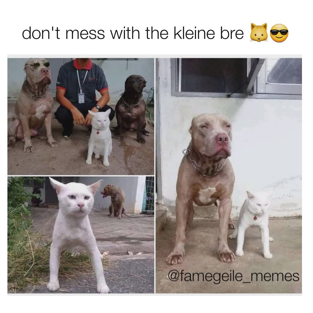 Meme by famegeile_memes