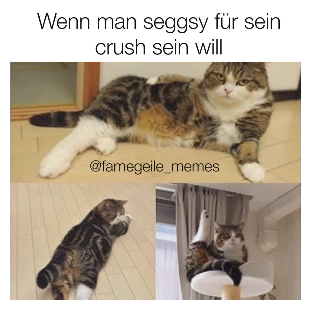 Meme by famegeile_memes