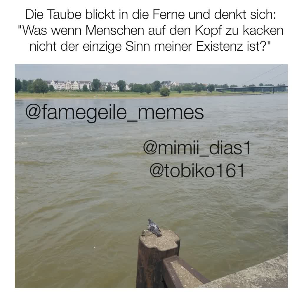 Meme by famegeile_memes