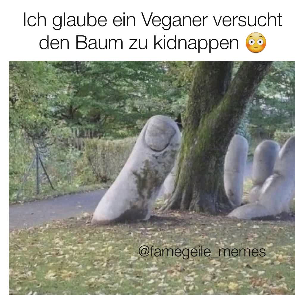 Meme by famegeile_memes