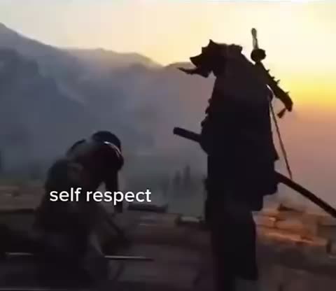 Meme shared by @wolfgunner99