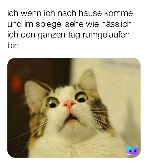 Meme by x_xaleynax_x