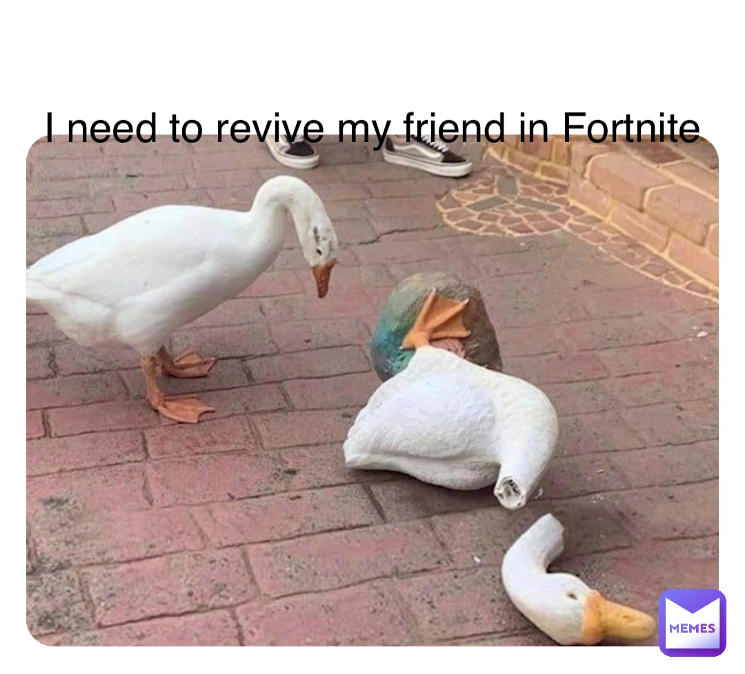 Meme by cohen-fuerst