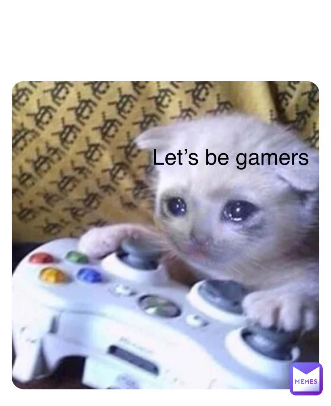 Meme by cohen-fuerst